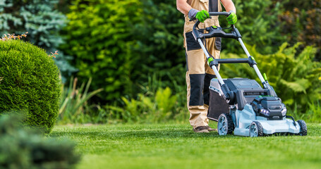 lawn
