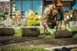 landscaping