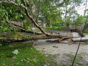 disaster cleanup